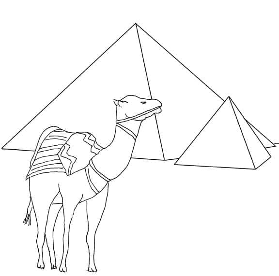 Coloriage Chameau Avec Des Pyramides à imprimer