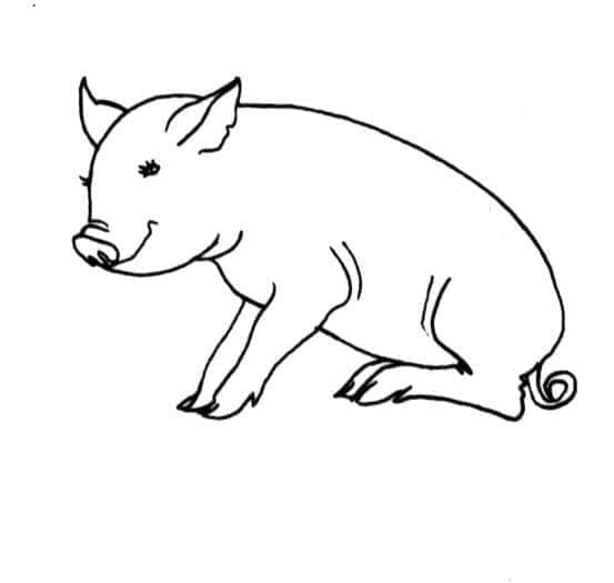 Coloriage Cochon Assis à imprimer