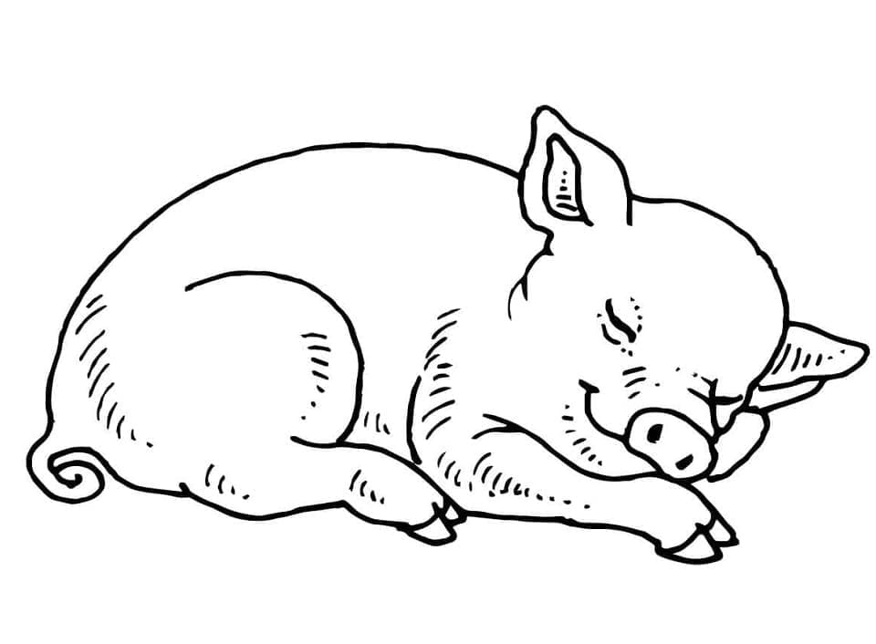 Coloriage Cochon Endormi à imprimer