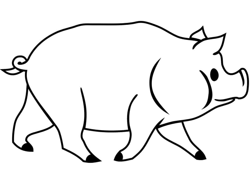 Coloriage Cochon Facile