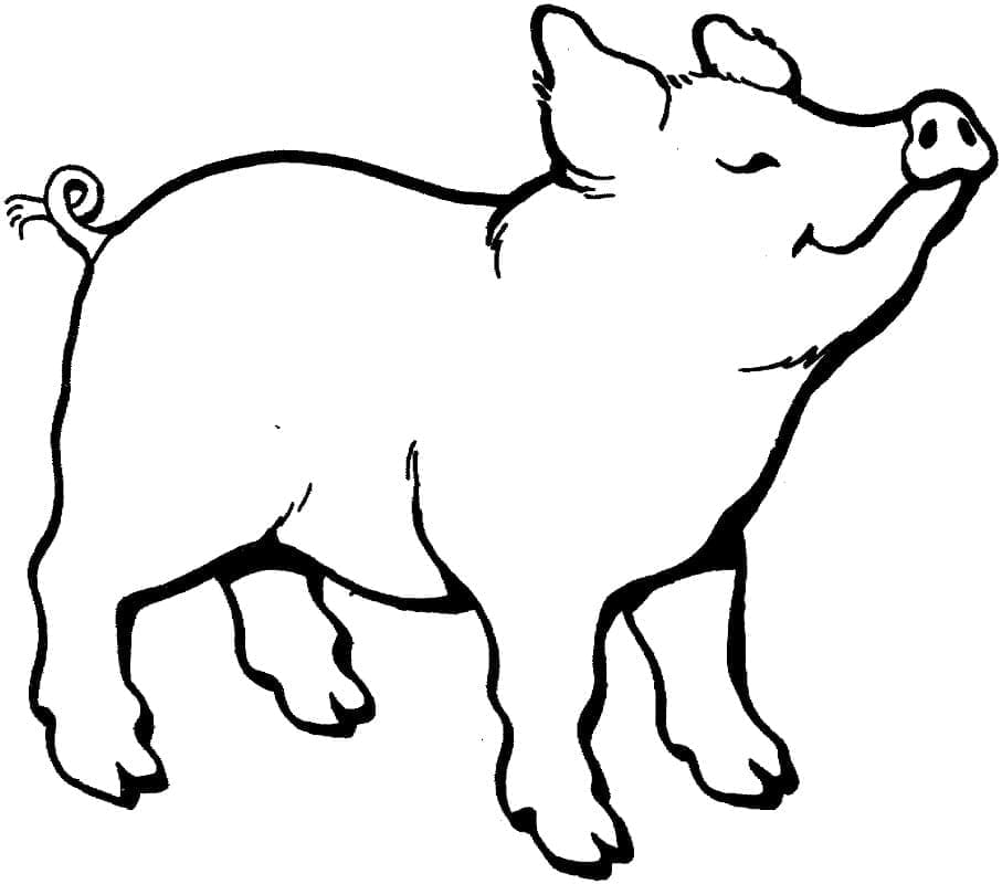 Coloriage Cochon Heureux