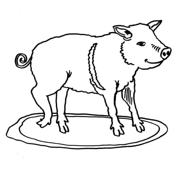 Coloriage Cochon Imprimable à imprimer