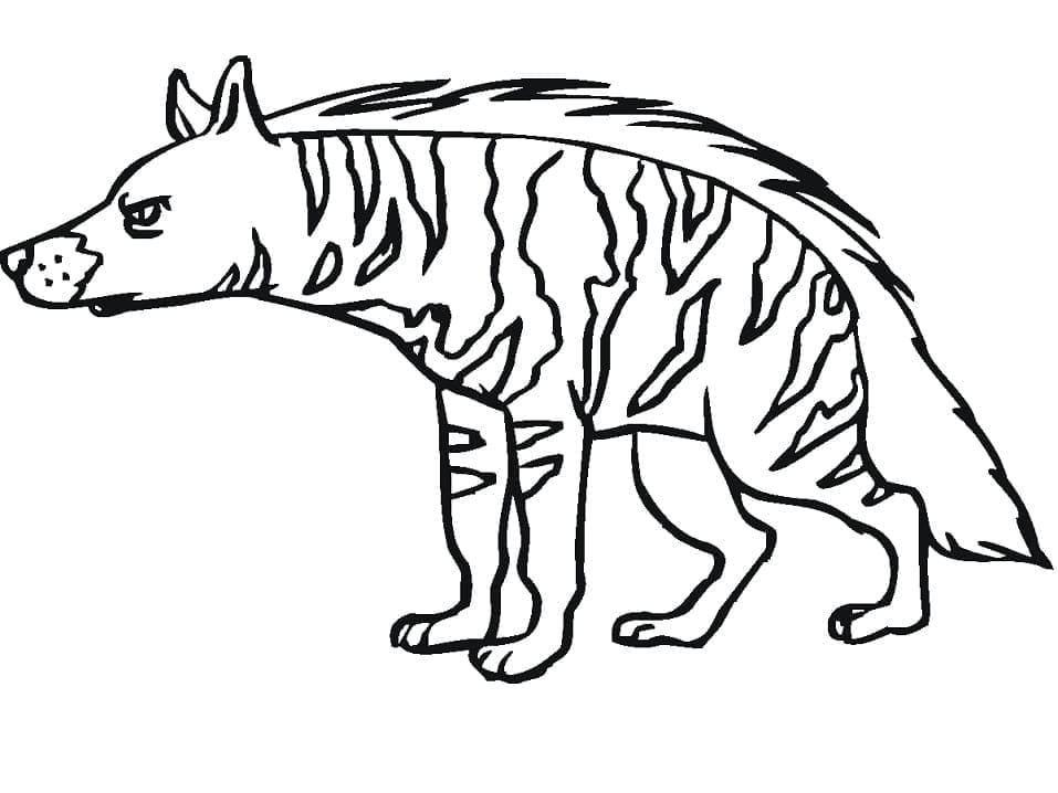 Coloriage Dessin Au Trait De Hyène à imprimer