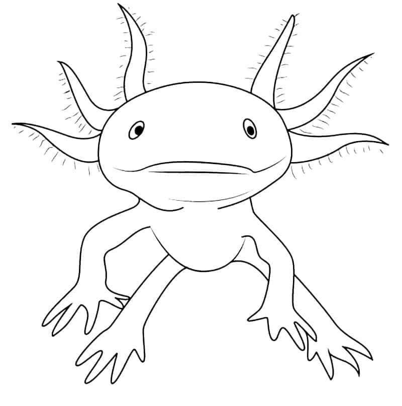 Coloriage Dessin De Axolotl à imprimer