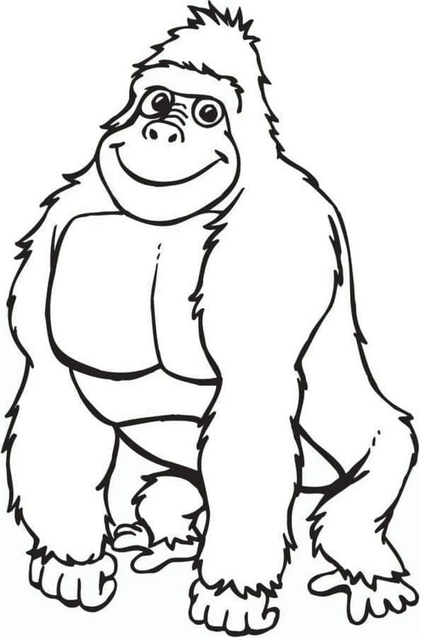 Coloriage Gorille Animé à imprimer