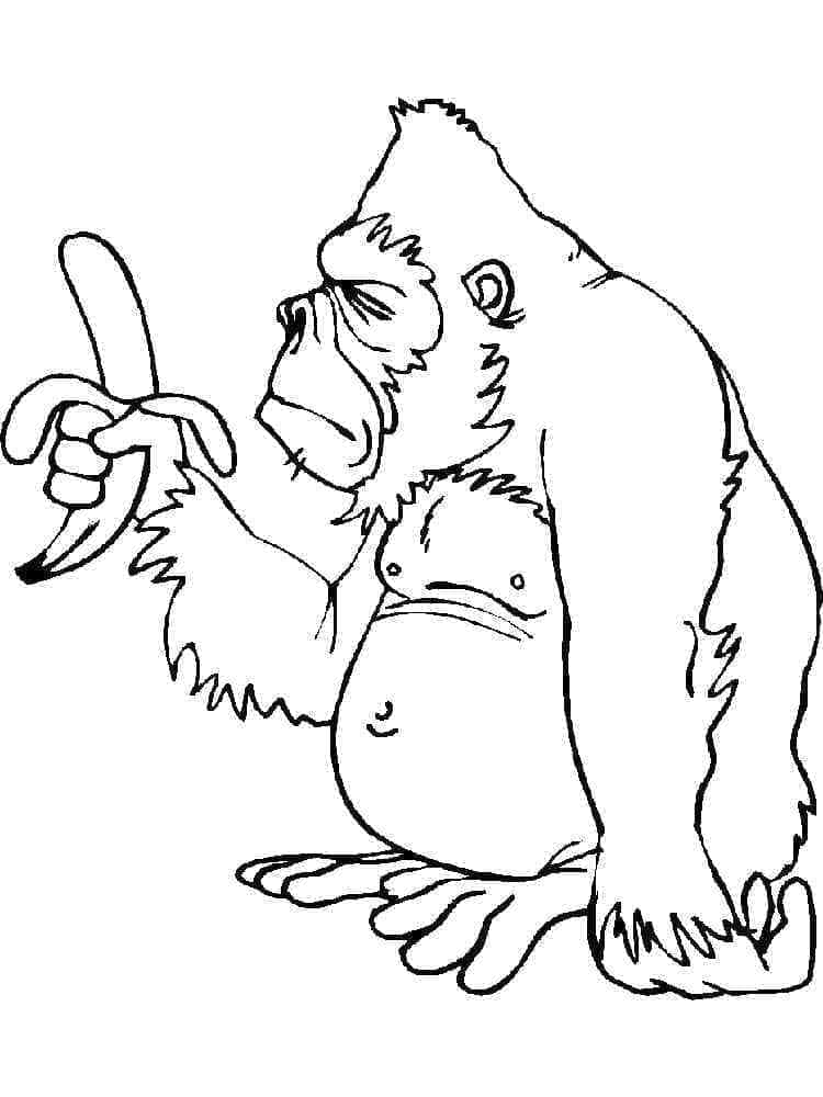Coloriage Gorille Et Une Banane à imprimer