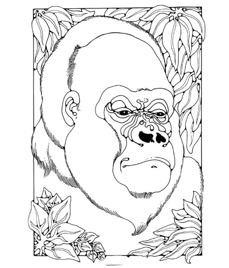 Coloriage Gorille Gratuit à imprimer