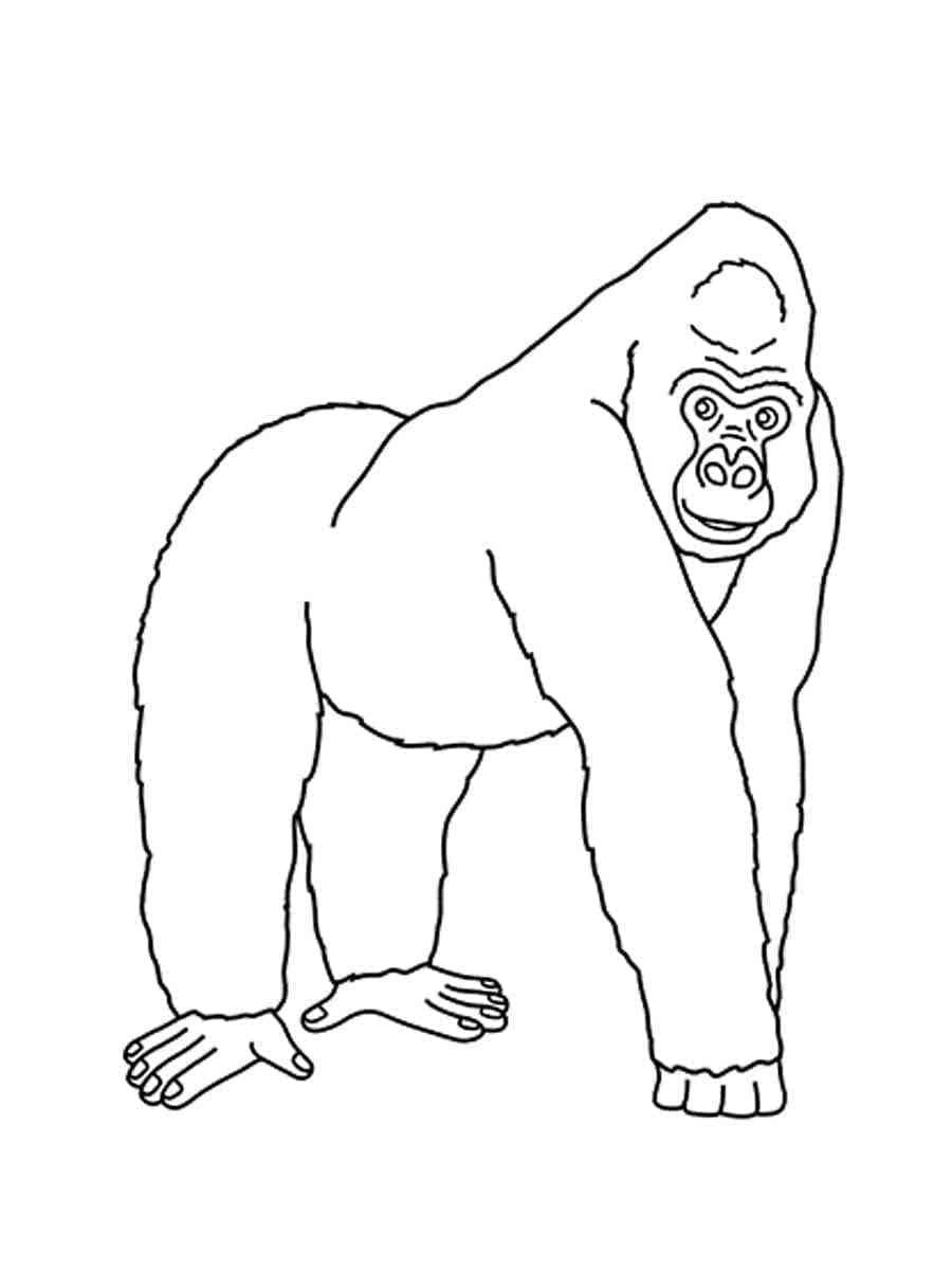 Coloriage Gorille Pour Les Enfants à imprimer