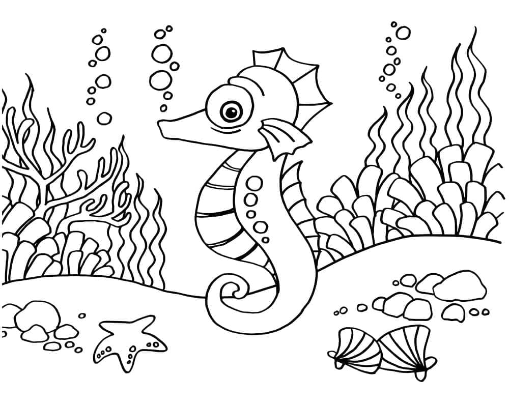 Coloriage Hippocampe Nageant