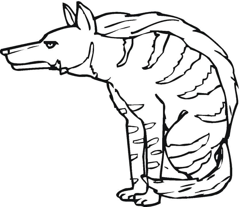 Coloriage Hyène Assise