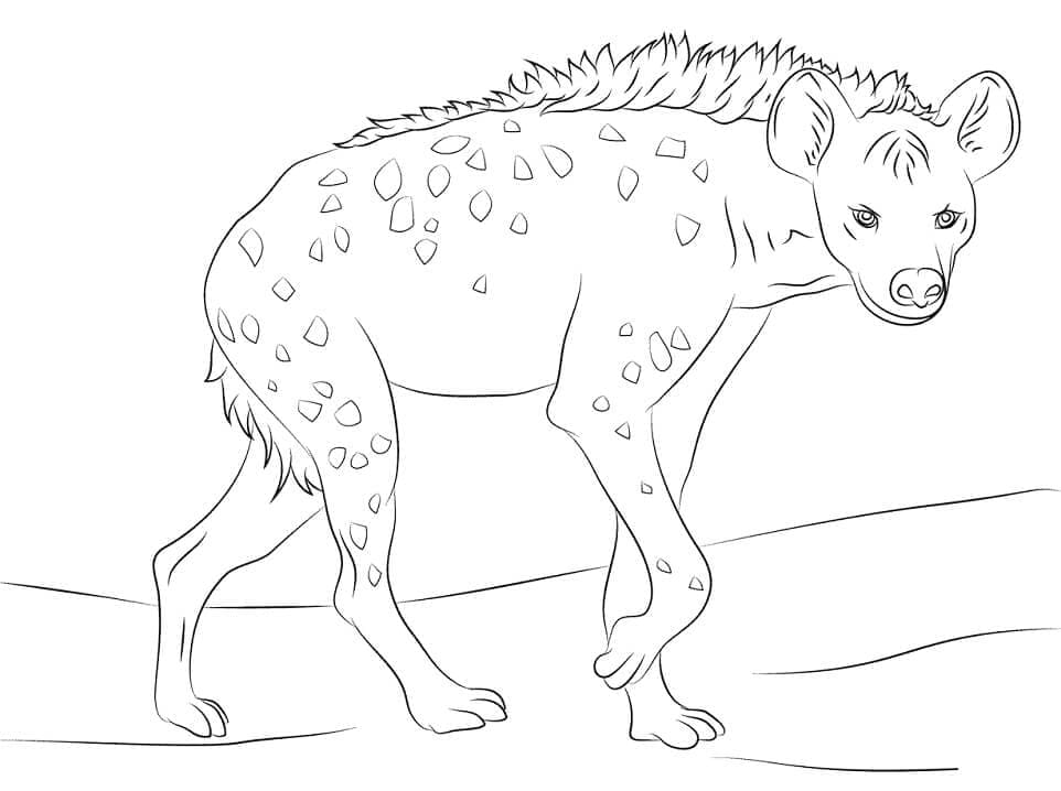 Coloriage Hyène Imprimable à imprimer