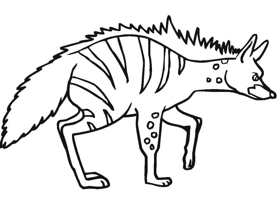 Coloriage Hyène Rayée