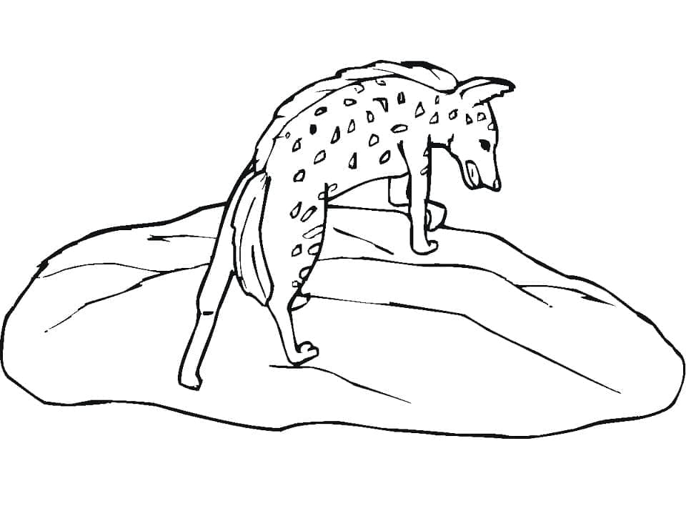 Coloriage Hyène Tachetée