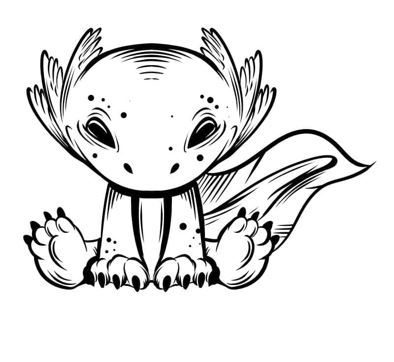 Coloriage Image Axolotl Imprimable à imprimer