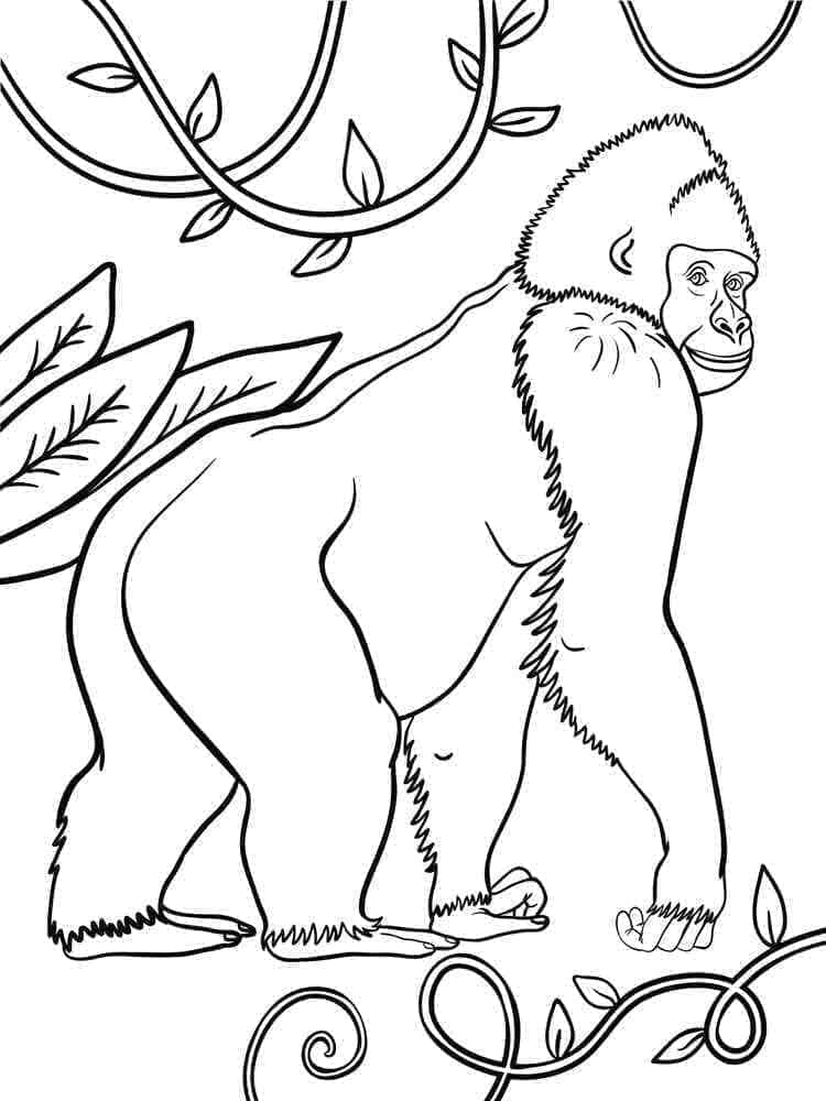 Coloriage Image De Gorille Imprimable à imprimer