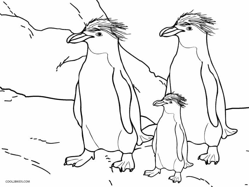 Coloriage Image Des Trois Pingouins