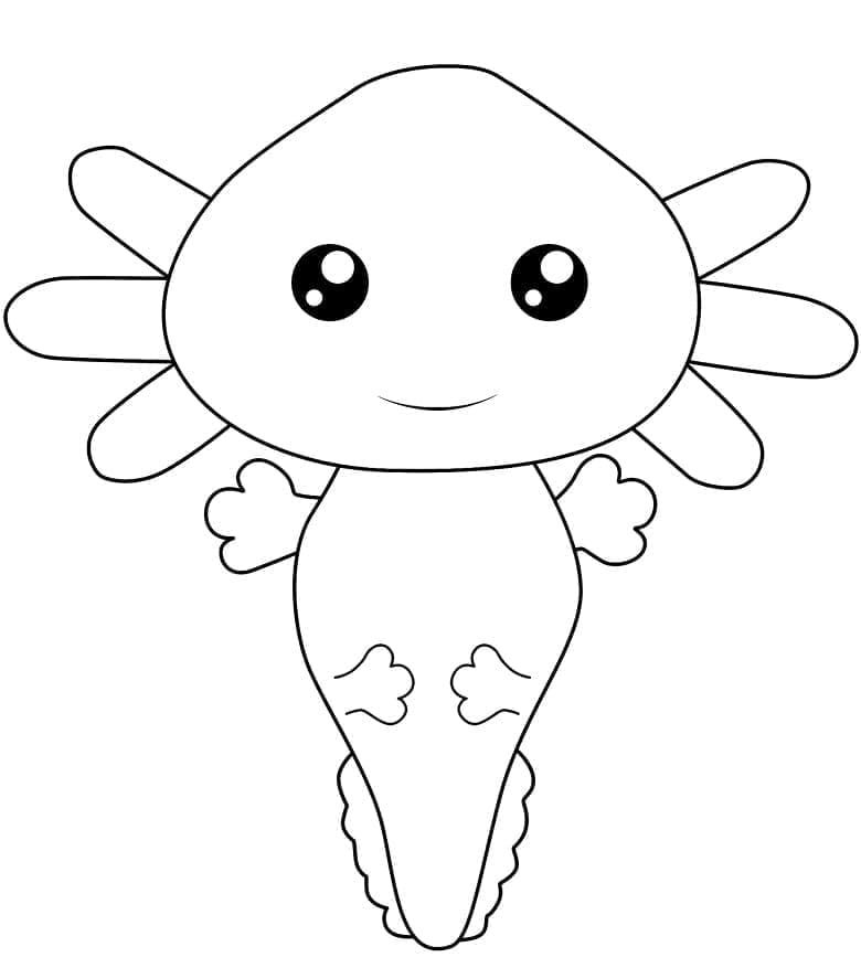 Coloriage Imprimable Axolotl Mignon