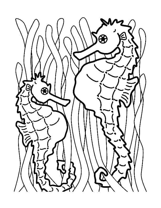 Coloriage Imprimable Hippocampes