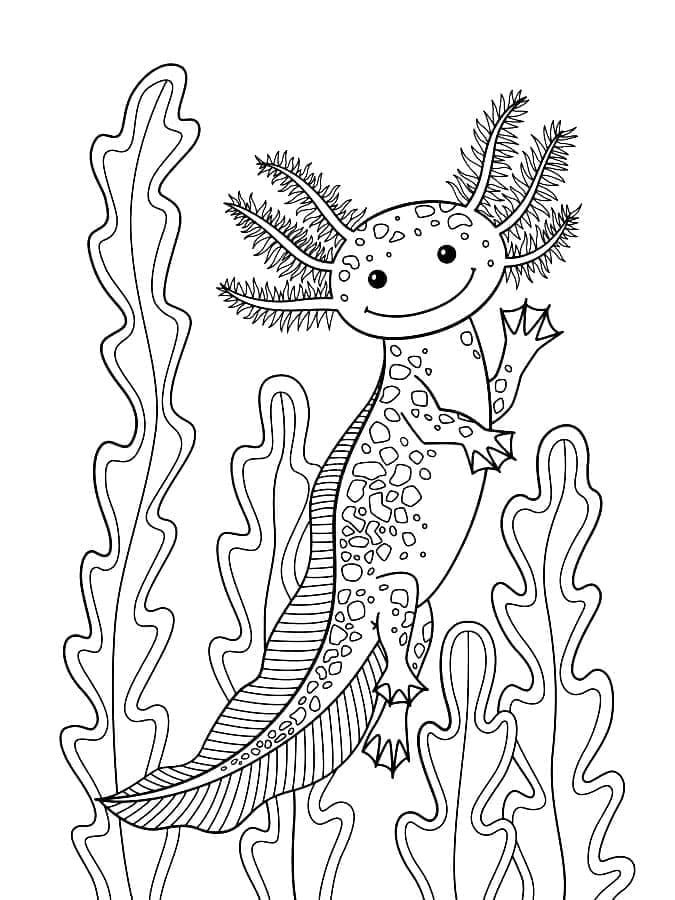 Coloriage Imprimer Axolotl à imprimer