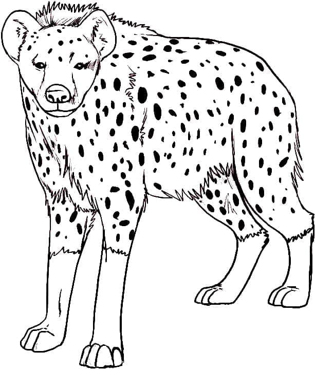 Coloriage Imprimer Hyène