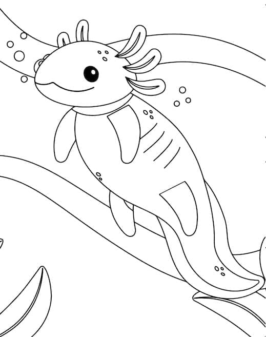 Coloriage Le Mignon Axolotl Nage à imprimer