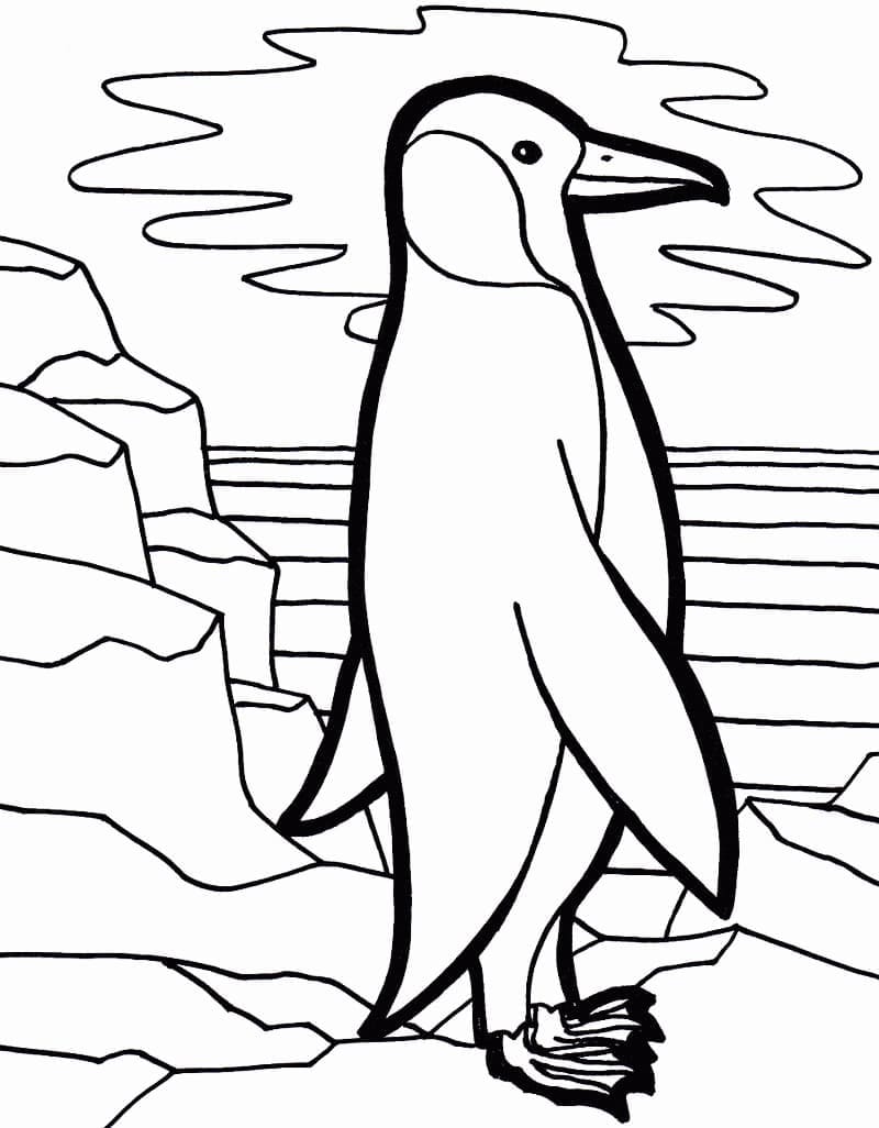 Coloriage Pingouin Debout à imprimer