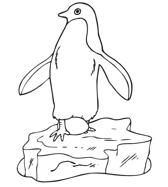 Coloriage Pingouin Debout Sur La Glace à imprimer