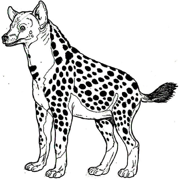 Coloriage Une Hyène à imprimer