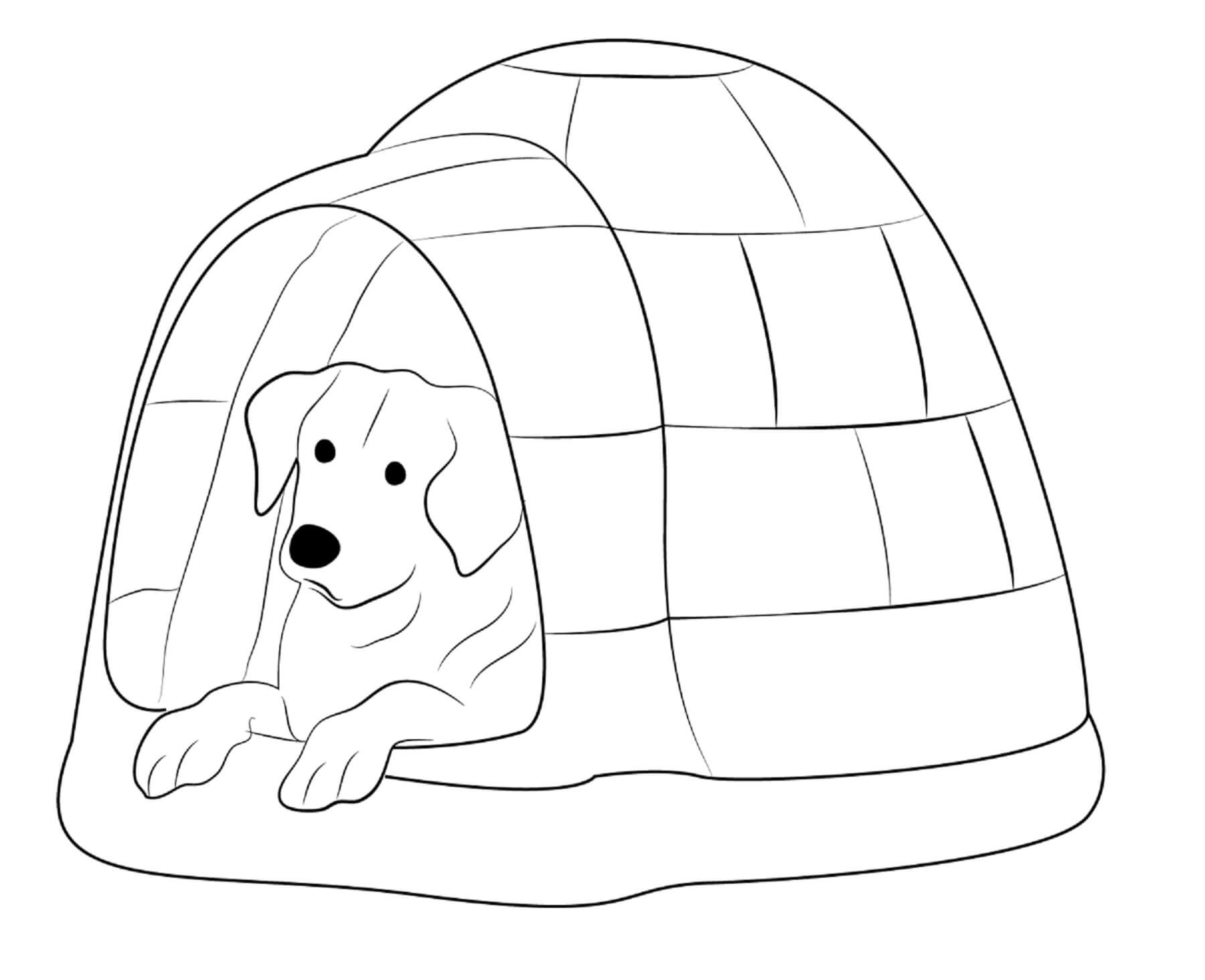 Coloriage Chien couché dans un igloo