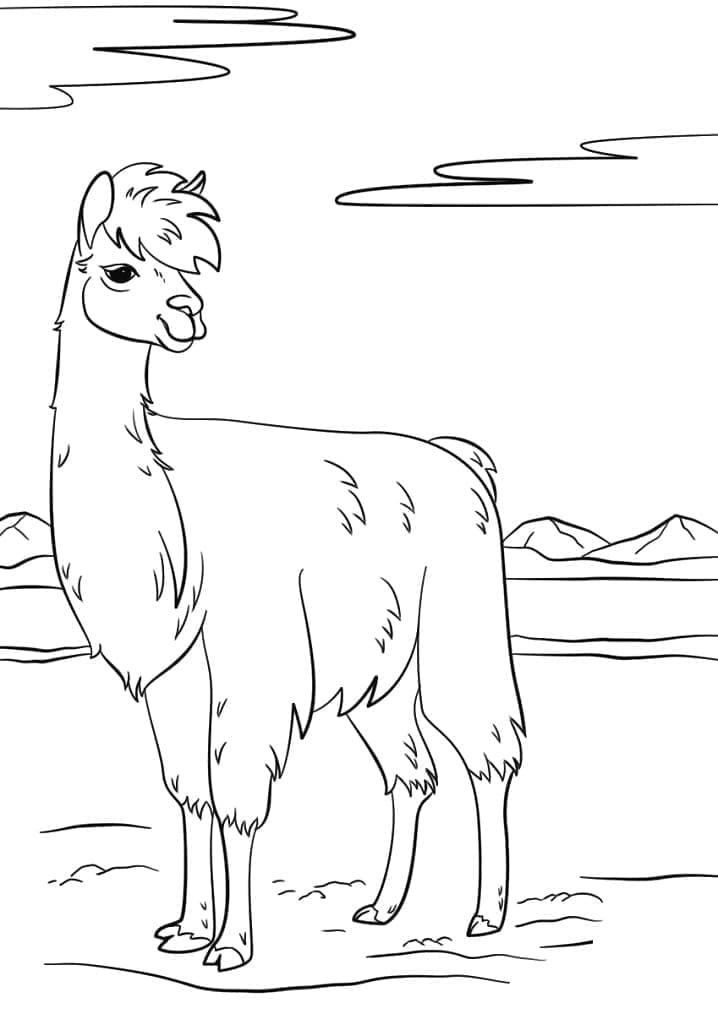 Coloriage Dessine un lama normal à imprimer