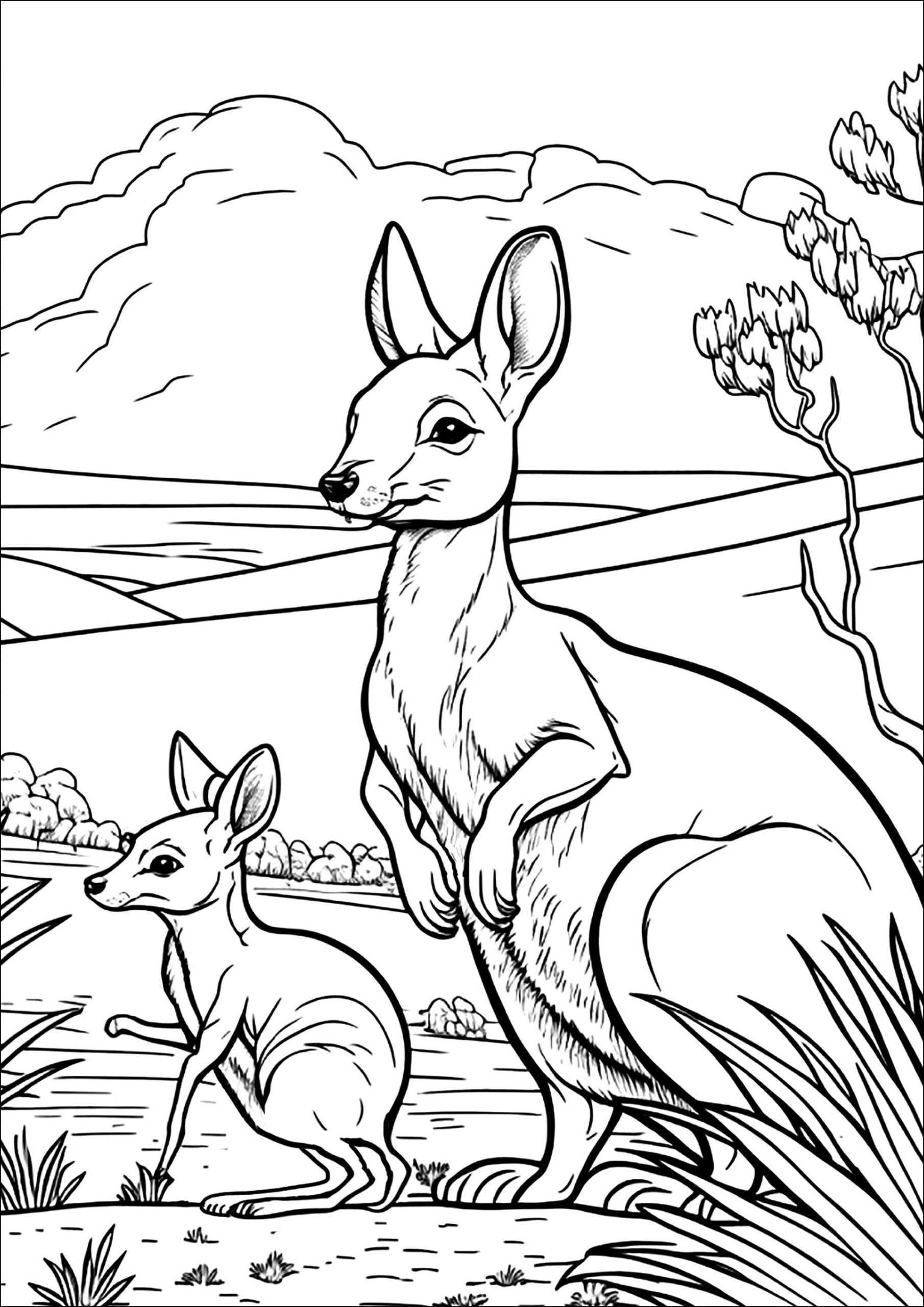 Coloriage Kangourous sauvages à imprimer