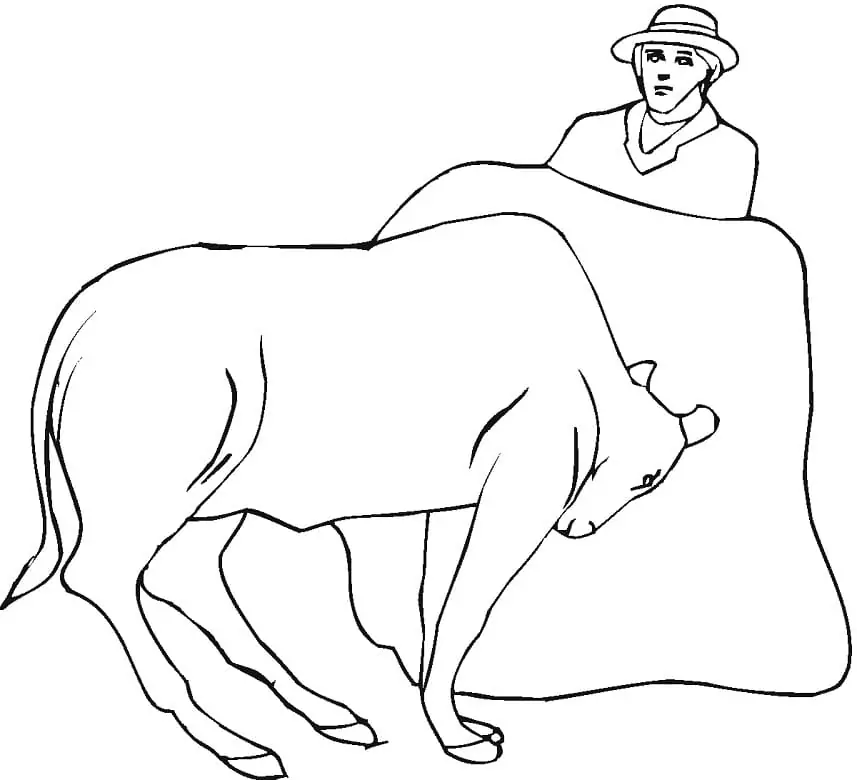 Coloriage Torero et taureau