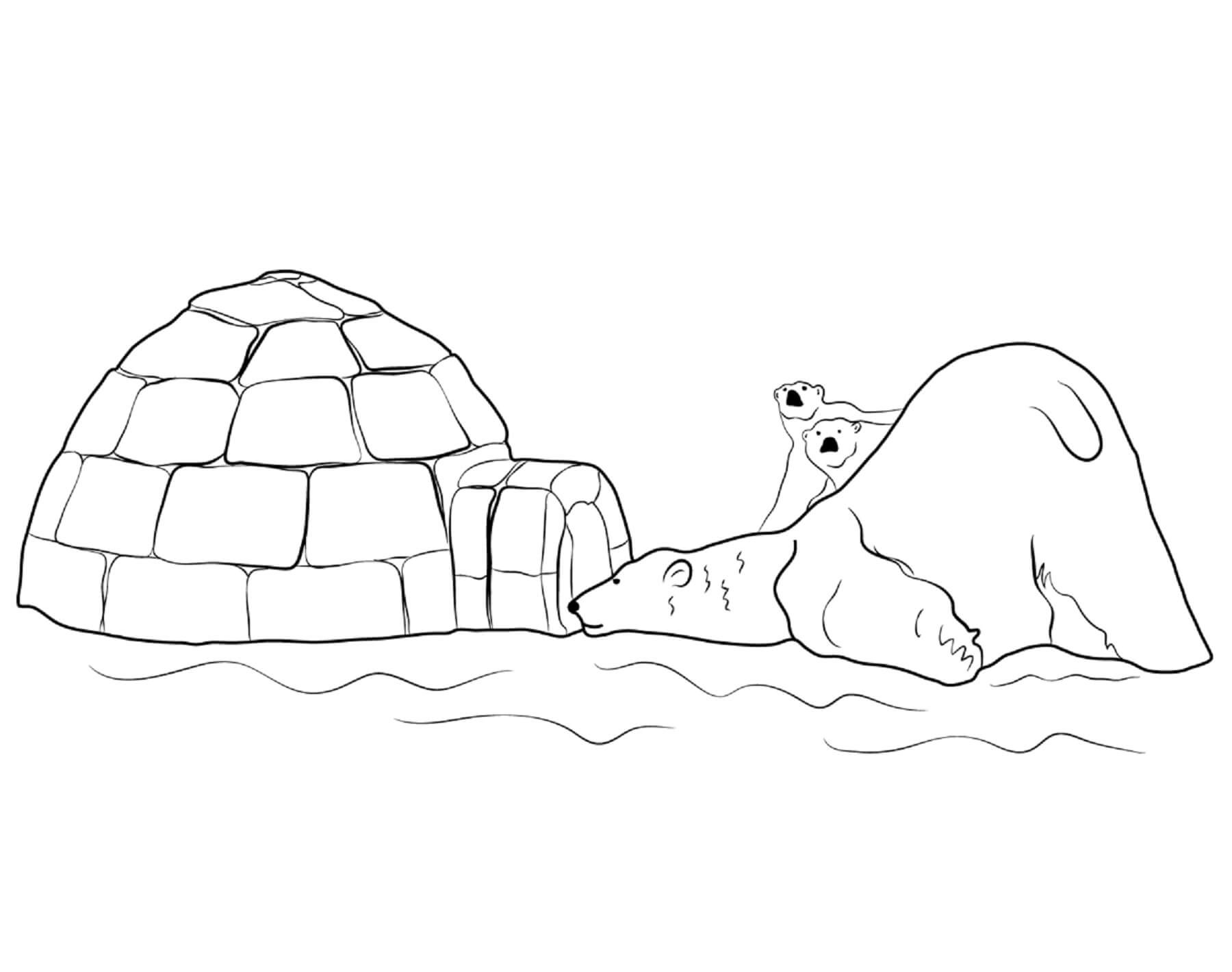 Coloriage Trois ours avec un igloo