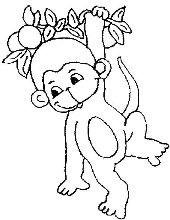 Coloriage Bébé singe à imprimer