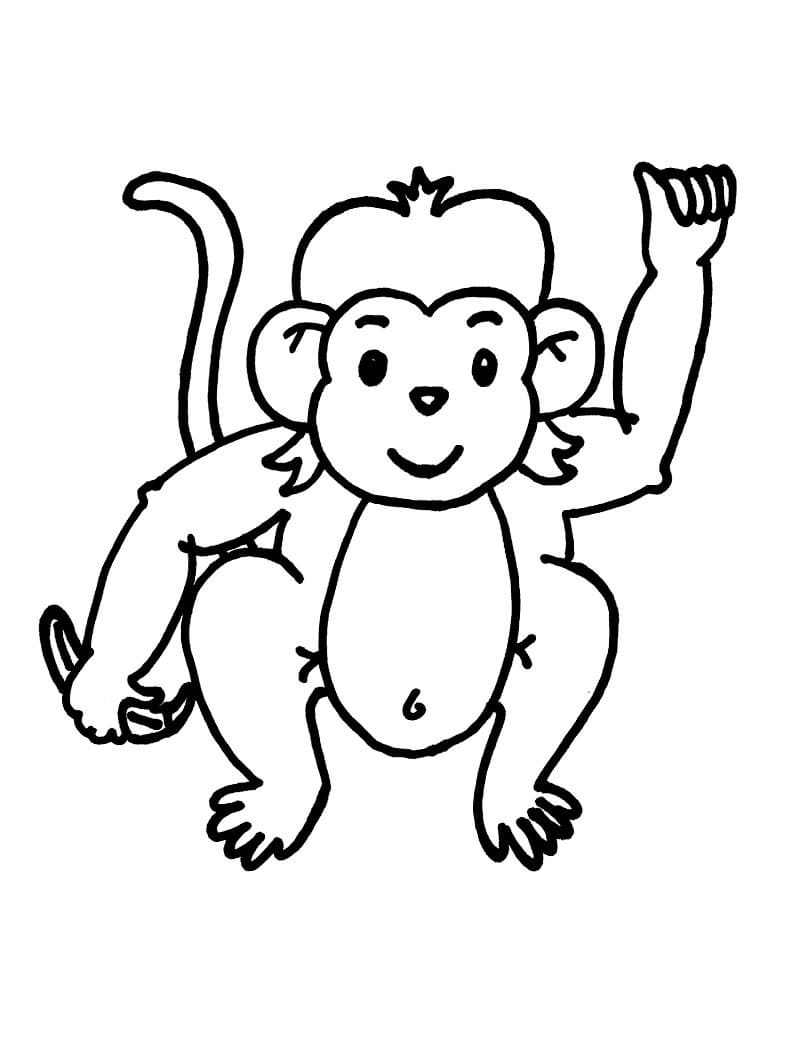 Coloriage Dessiner un singe à imprimer gratuitement