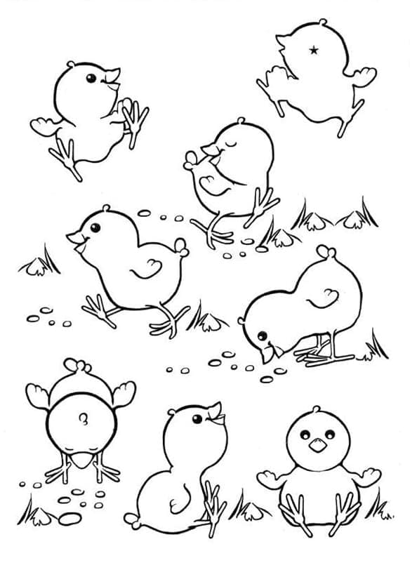 Coloriage Poussins heureux à imprimer