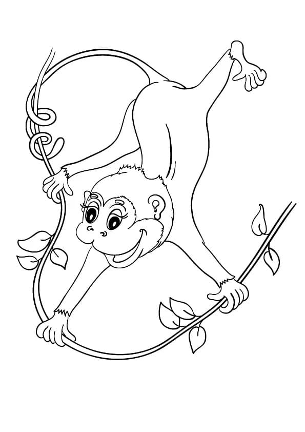 Coloriage Singe suspendu