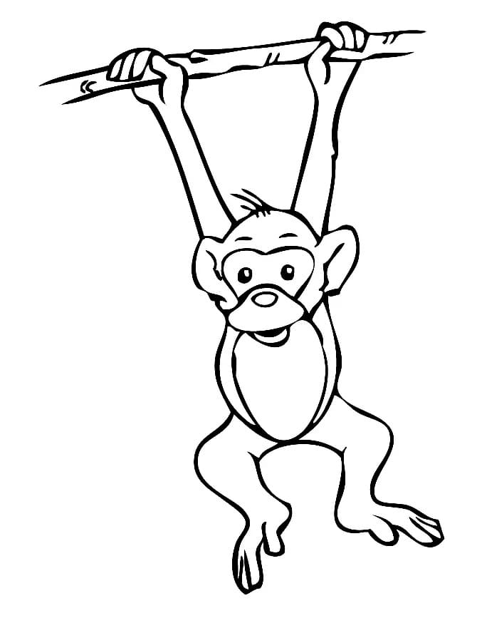 Coloriage Un singe pendu