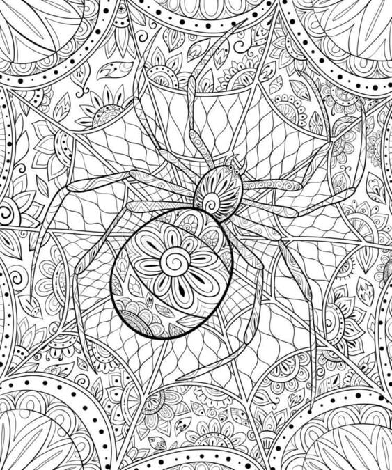 Coloriage Araignée dans les mandalas Halloween