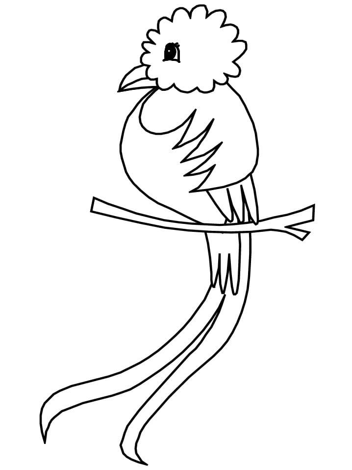 Coloriage Dessiner gratuitement Quetzal Mignon à imprimer