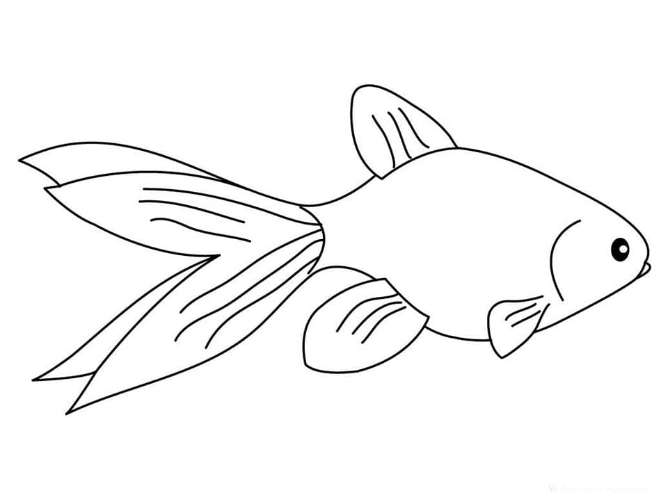 Coloriage Poisson d'avril - feuille 6