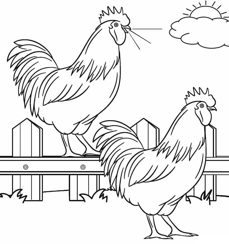 Coloriage Poulets à la ferme