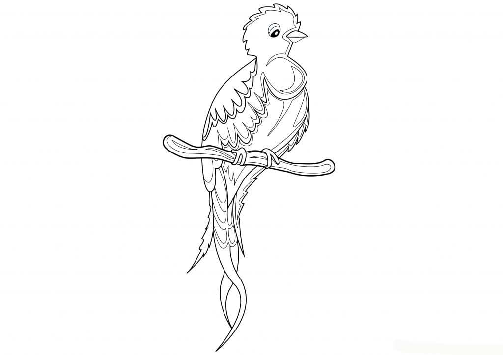 Coloriage Quetzal simple gratuit à imprimer