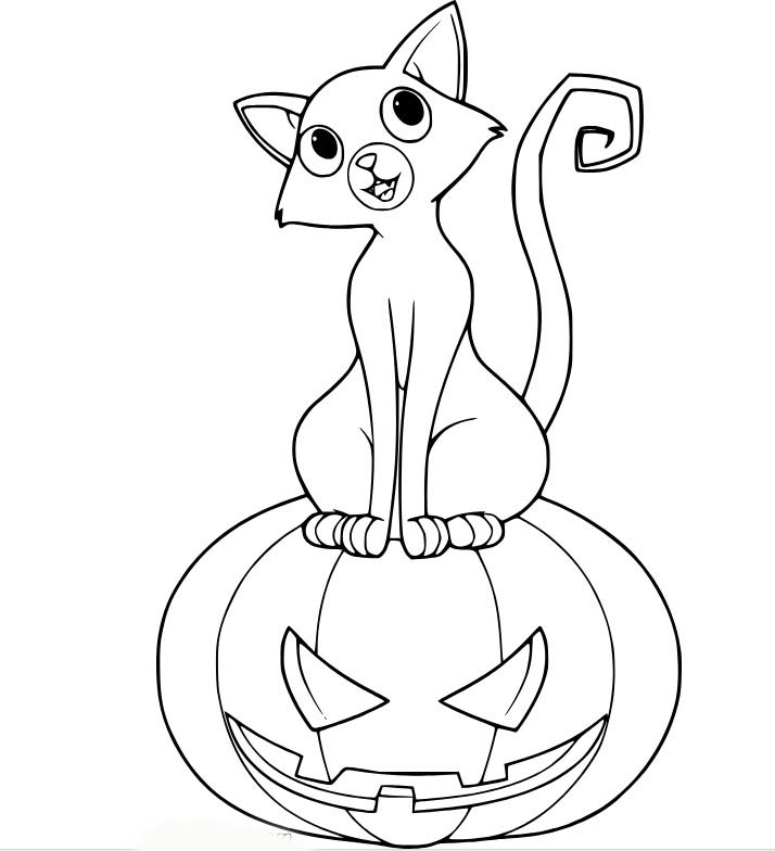 Coloriage Un chat mignon est assis sur la lanterne Jack O