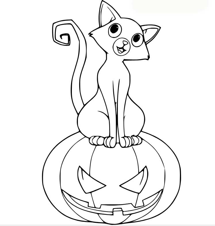 Coloriage Un chat sur la citrouille