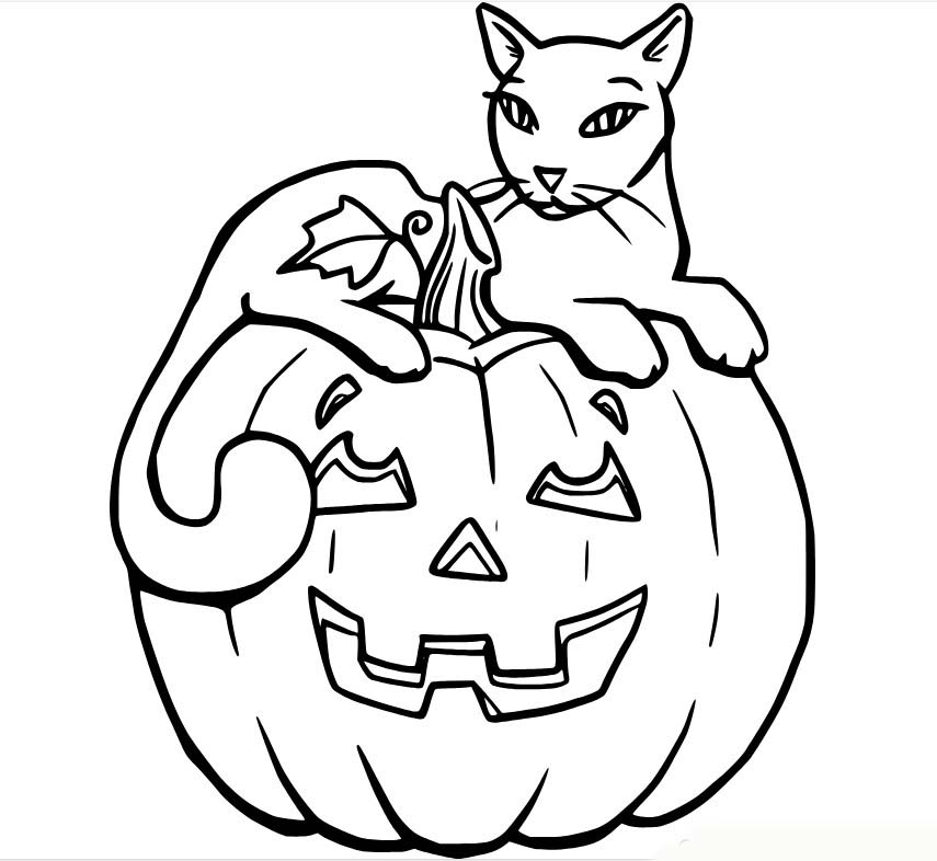 Coloriage Un joli chat assis sur une grosse citrouille