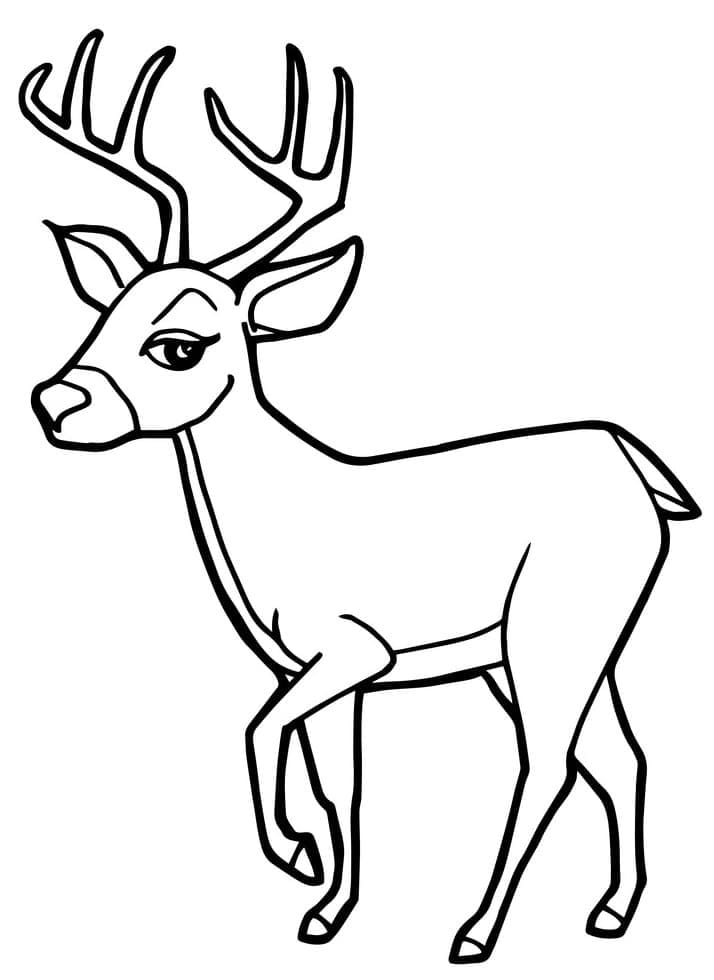 Coloriage Cerfs de dessin animé