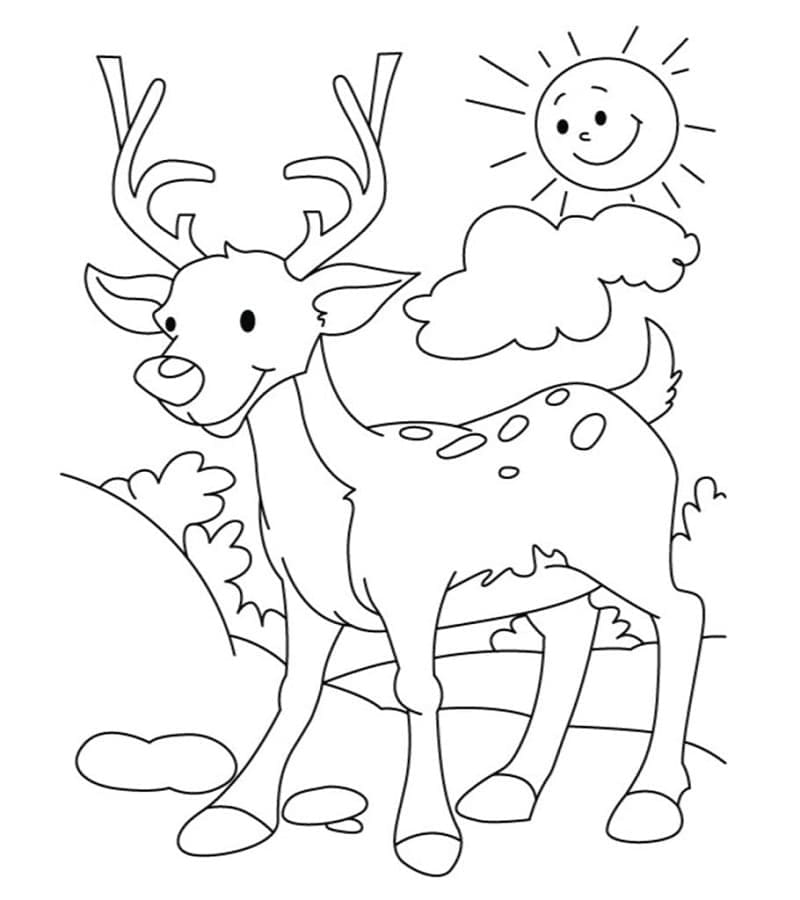 Coloriage Cerfs heureux