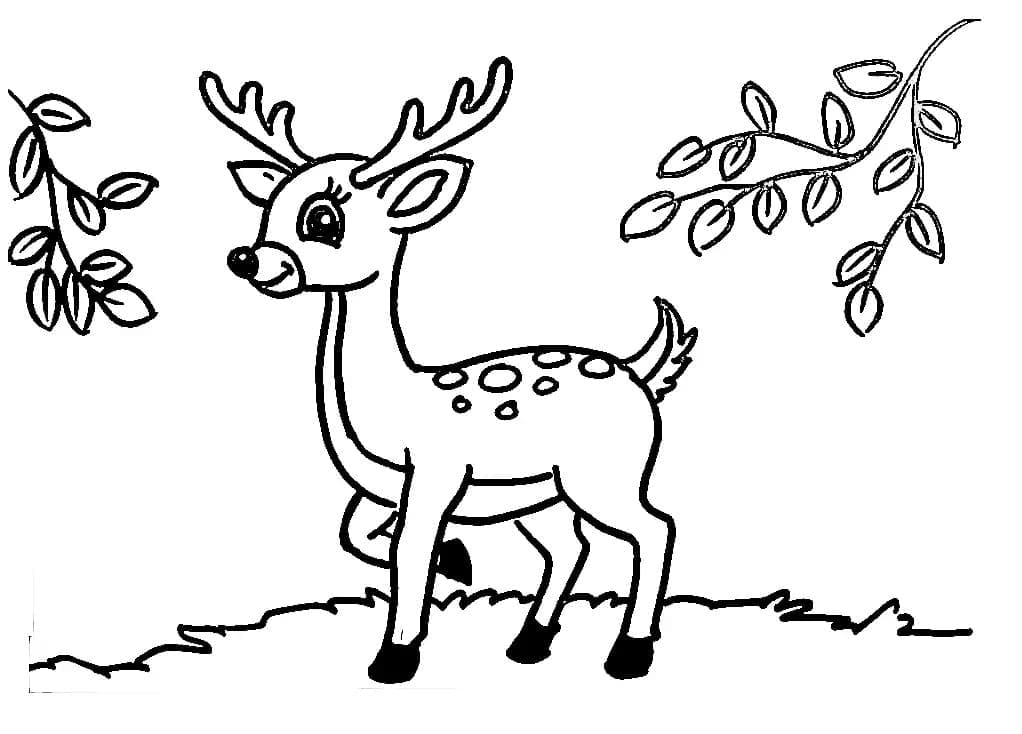 Coloriage Cerfs mignon