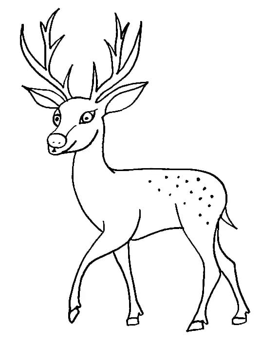 Coloriage Cerfs très drôle